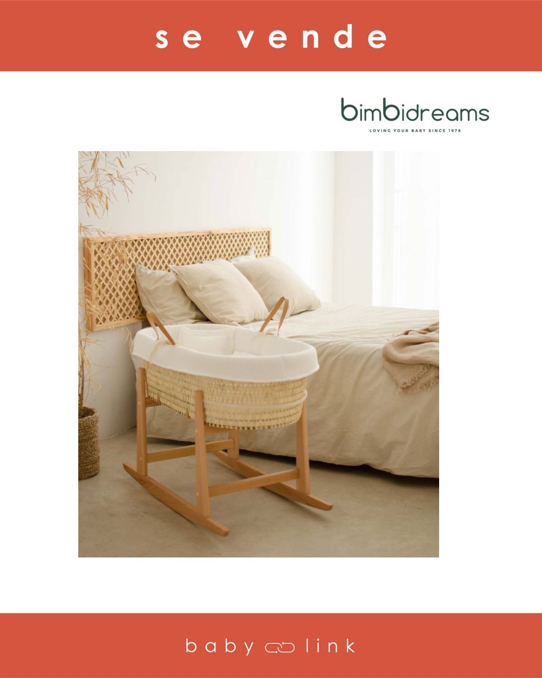 (COD:BB17141) MOISÉS BALANCÍN BIMBIDREAMS