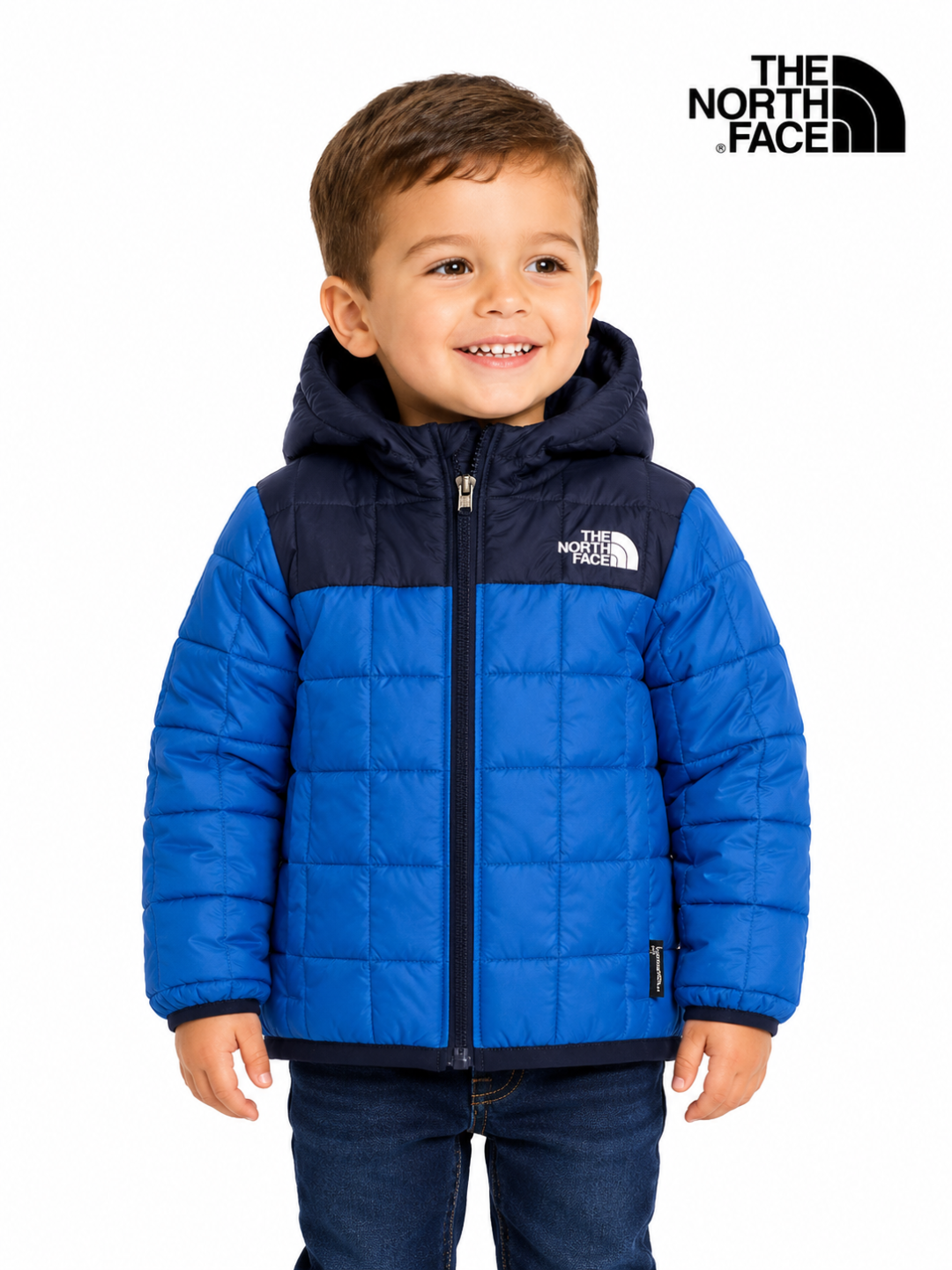 (COD: VI-105) PARKA NORTH FACE TALLA 3