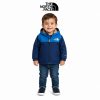 (COD:VI-138) PARKA THE NORTH FACE NIÑO TALLA 2T/2B